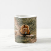 LION KOFFIEMOK (Center)