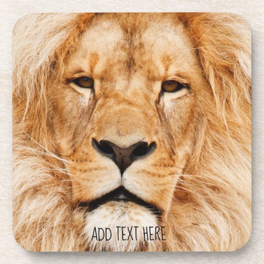 Lion, koning van Afrika Bier Onderzetter (Voorkant)