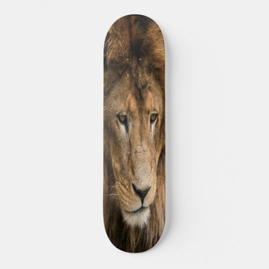 LION, krachtig gebouwd skateboard (Voorkant)