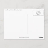 lion kruger briefkaart (Achterkant)