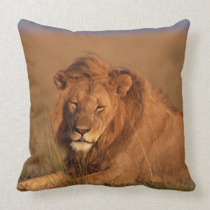 Lion Kussen