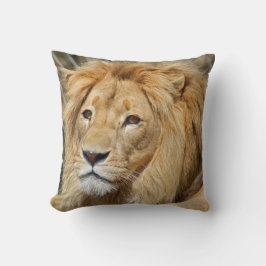 Lion Kussen