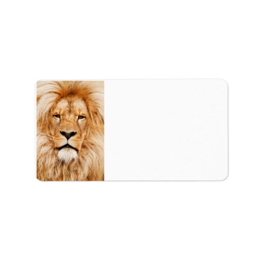 Lion Labels (Voorkant)