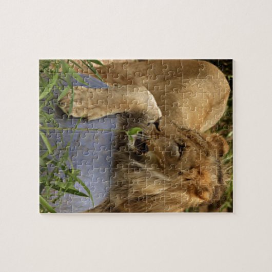 Lion Legpuzzel (Horizontaal)