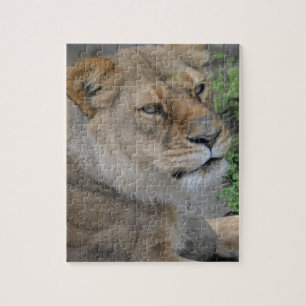Lion Legpuzzel