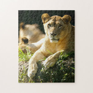 Lion Legpuzzel