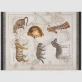 Lion Leopard Giraffe Afrika kaart ontkoppeling Tissuepapier (Voorkant)