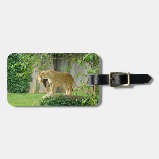 Lion Lioness Bagagelabel (Voorkant horizontaal)