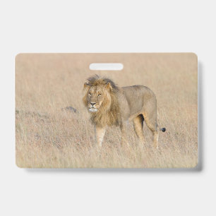 Lion lopen badge