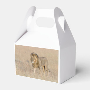 Lion lopen bedankdoosjes