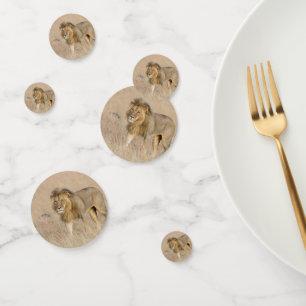 Lion lopen confetti