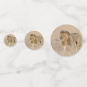 Lion lopen confetti (Achterkanten)