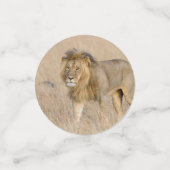 Lion lopen confetti (Kleine voorkant)