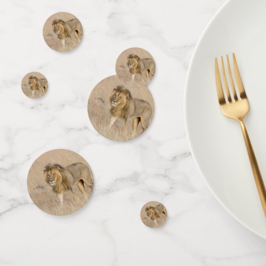 Lion lopen confetti (Groep)