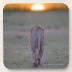 Lion lopen drankjes onderzetter