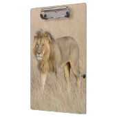 Lion lopen klembord (Links)