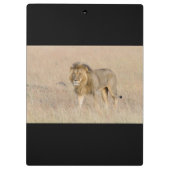 Lion lopen klembord (Achterkant)