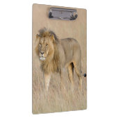Lion lopen klembord (Rechts)