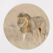 Lion lopen labels (Design 2)