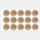 Lion lopen labels (Vel)