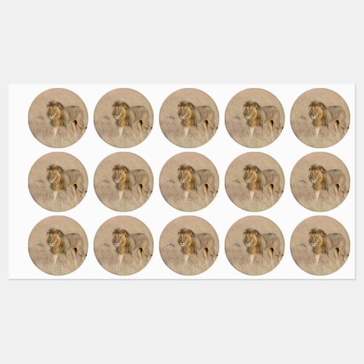 Lion lopen labels (Vel)