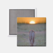 Lion lopen magneet (Voorkant / Achterkant)