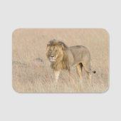 Lion lopen naamplaatje (Voorkant)