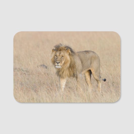 Lion lopen naamplaatje (Voorkant)