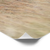 Lion lopen perfect poster (Hoek)