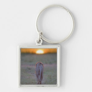 Lion lopen sleutelhanger