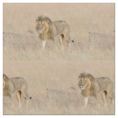 Lion lopen stof (Close Up)