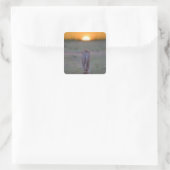 Lion lopen vierkante sticker (Tas)