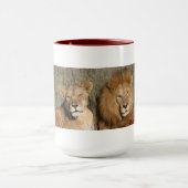 Lion Love - Mok (Midden)
