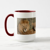 Lion Love - Mok (Links)