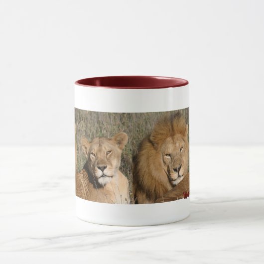 Lion Love - Mok (Midden)