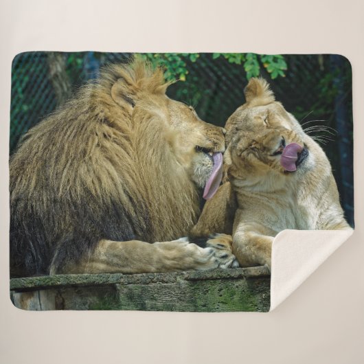 LION LOVE SHERPA DEKEN (Voorkant (horizontaal))