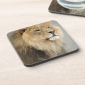 Lion Lovers Art Bier Onderzetter (Linkerzijde)