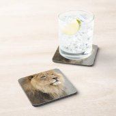 Lion Lovers Art Bier Onderzetter (Rechterzijde)