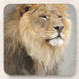 Lion Lovers Art Bier Onderzetter