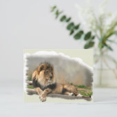 Lion Lovers Art Gifts Briefkaart (Staand voorkant)