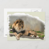 Lion Lovers Art Gifts Briefkaart (Voorkant / Achterkant)