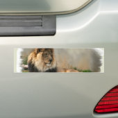 Lion Lovers Art Gifts Bumpersticker (Op auto)