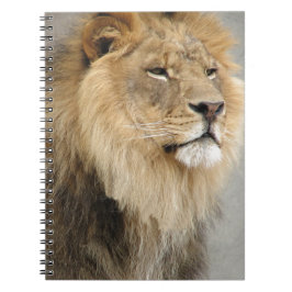 Lion Lovers Art Notitieboek