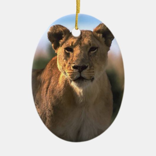 Lion Lovers kerstversiering Keramisch Ornament (Voorkant)