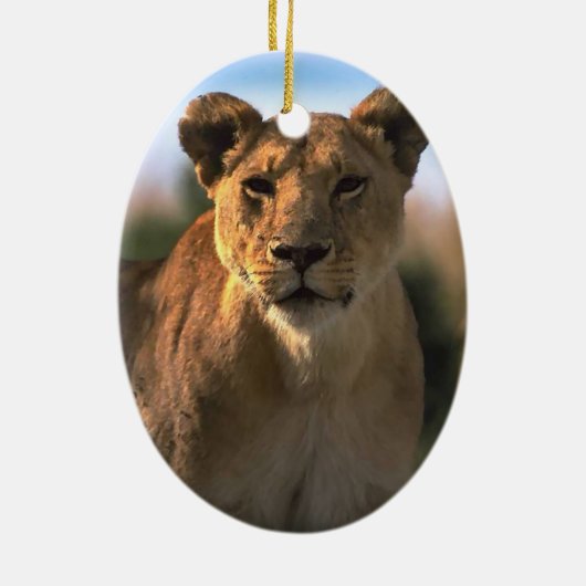 Lion Lovers kerstversiering Keramisch Ornament (Achterkant)