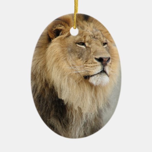 Lion Lovers kerstversiering Keramisch Ornament (Voorkant)