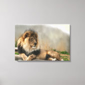 Lion Lovers King of the Oerwoud Canvas Afdruk (Voorkant)