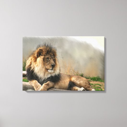 Lion Lovers King of the Oerwoud Canvas Afdruk (Voorkant)