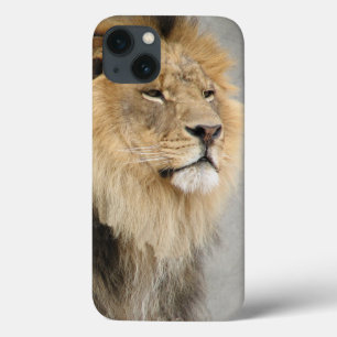 Lion Lovers King of the Oerwoud iPhone 13 Hoesje