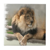 Lion Lovers King of the Oerwoud Tegeltje (Voorkant)